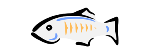 glassfish