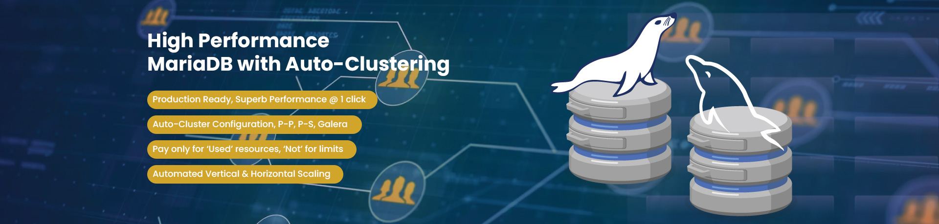 mariadb-docker