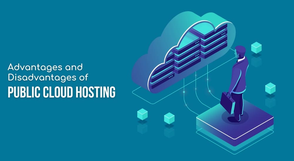Advantages and Disadvantages of Public Cloud Hosting
