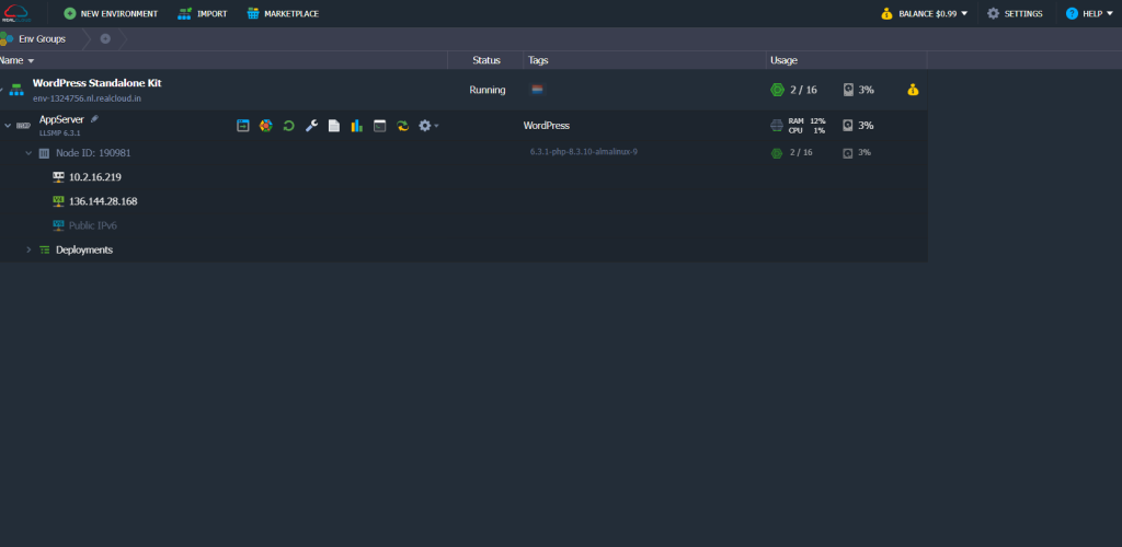Migrate WordPress Site to Cloud Hosting: Find your RealCloud DNS
